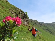 Bello il ‘Sentiero delle panchine ‘ ad anello da San Simone-Passo San Simone + Forcella Rossa-17giu25 - FOTOGALLERY